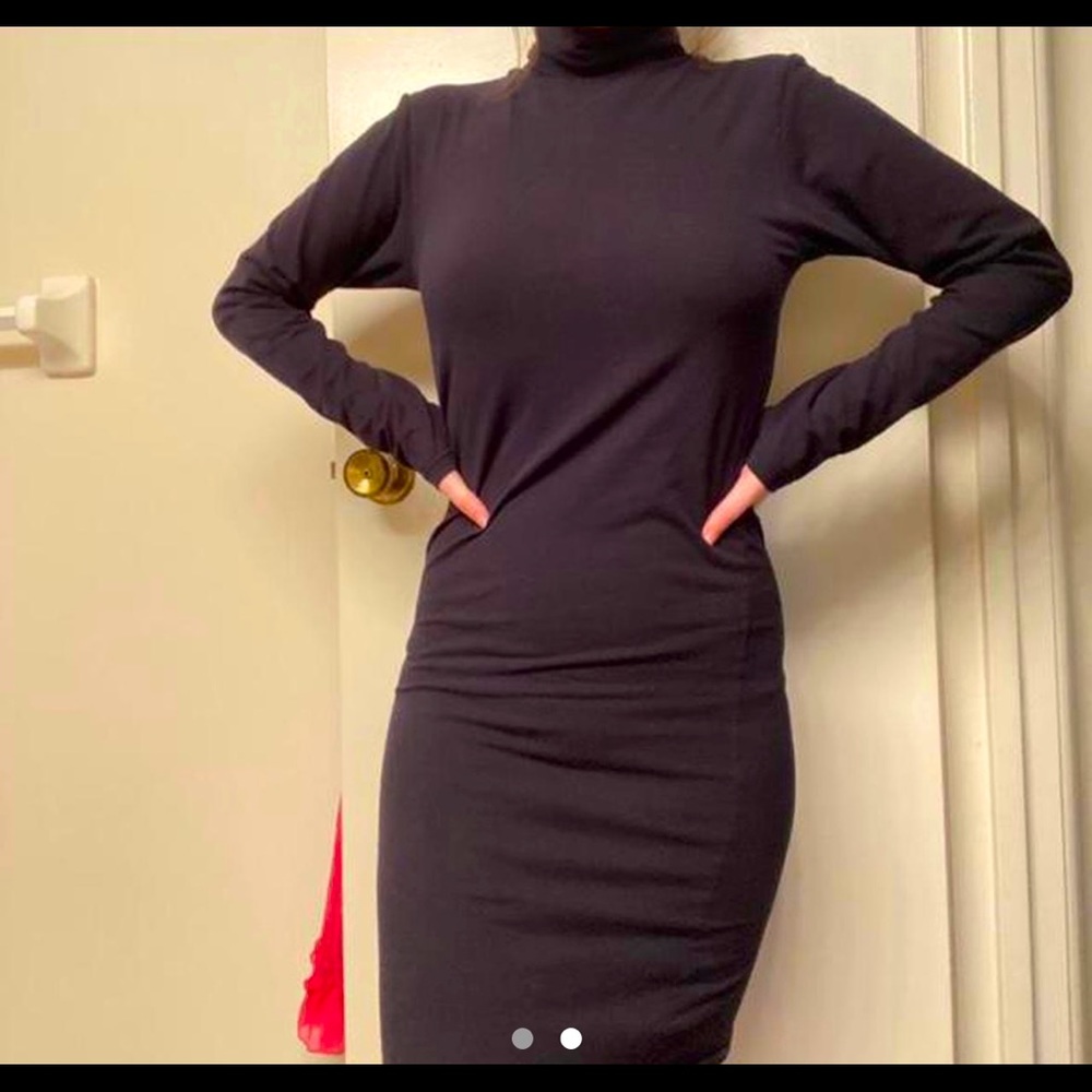 American Apparel Turtleneck Dress